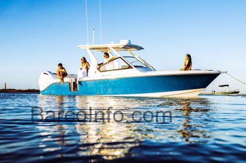 Edgewater 262 CX opinión y ficha técnica